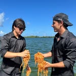 spaghettitrading avatar